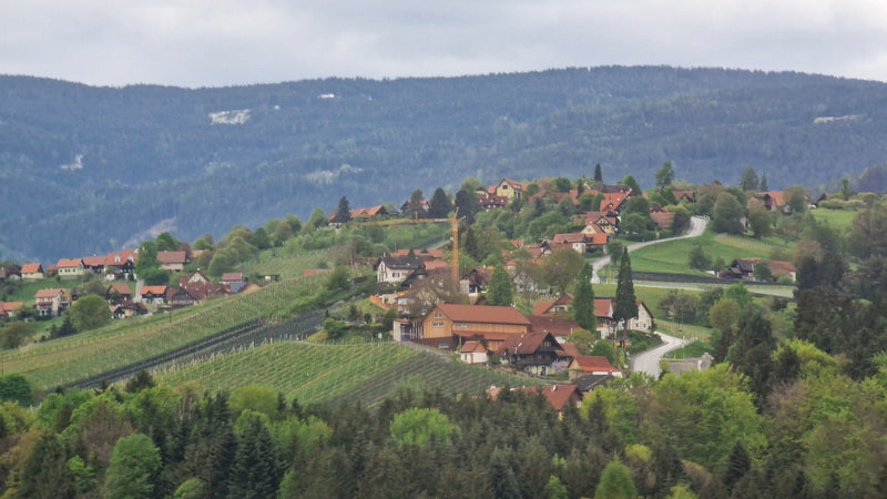 Rolling green vineyards and hills of the Weststeiermark region along the Schilcher Wine Route in southern Austria.