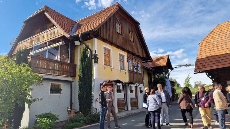 Weingut Riegelnegg Olwitschhof on the Sernauberg, vineyard rows running down the ridge in warm afternoon light, Südsteiermark, Austria.