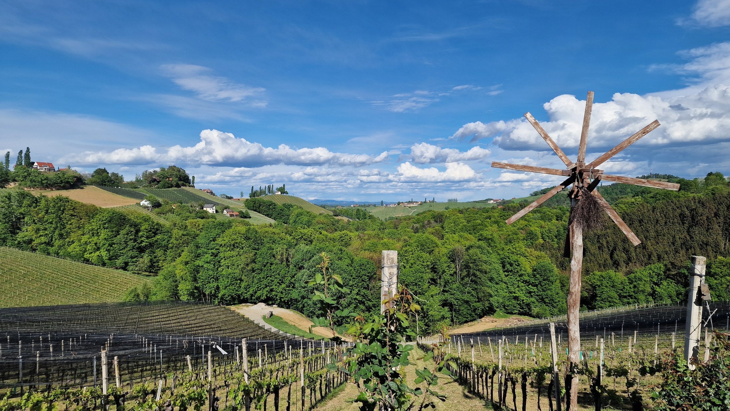 Rolling green vineyard hills of Südsteiermark in spring, slopes stacked to the horizon under a bright sky.