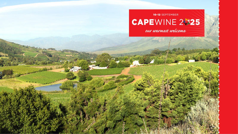 Cape Wine 2025 event branding at the Cape Town International Convention Centre Created by Wines of South Africa.