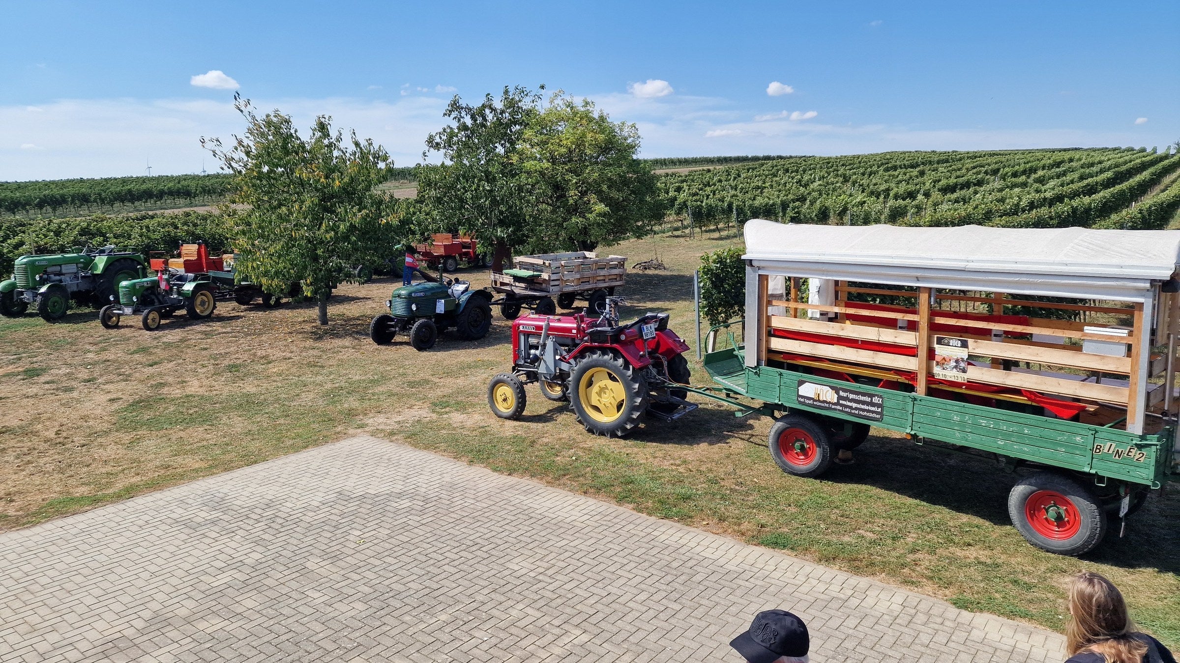 A tractor ride through the vineyards of Carnuntum, Austria's underrated red-wine region.