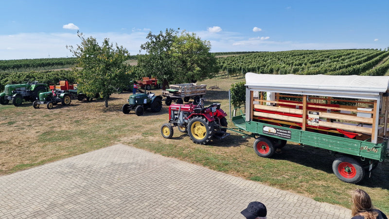 A tractor ride through the vineyards of Carnuntum, Austria's underrated red-wine region.