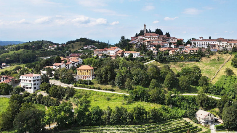 Barbera d'Asti vineyards rolling across the hills of Monferrato in Piemonte, courtesy of the Consorzio Barbera d'Asti e Vini del Monferrato.