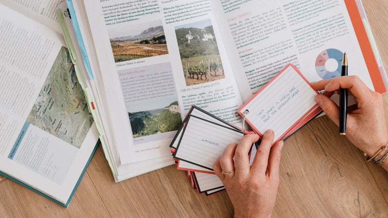 Overhead study scene of Margot van Lieshout writing over an open wine textbook of region maps beside a coral-banded deck of handwritten flashcards and a notebook, illustrating active recall on Wine with Margot