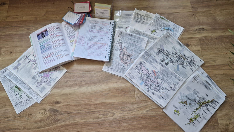 Overhead flat-lay of Margot's hand-drawn, colour-annotated French wine region maps, an open highlighted textbook, a spiral notebook of study notes and colour-tabbed flashcard boxes.