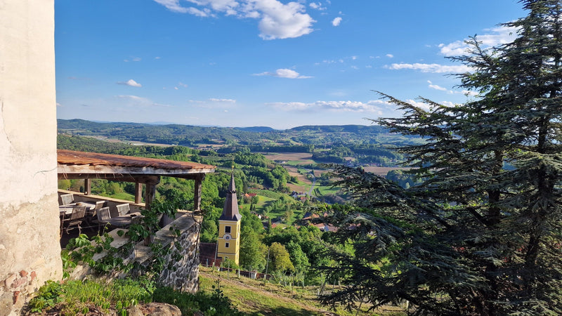 View over the valley from Schloss Kapfenstein in Vulkanland Steiermark, Austria's volcanic wine region.