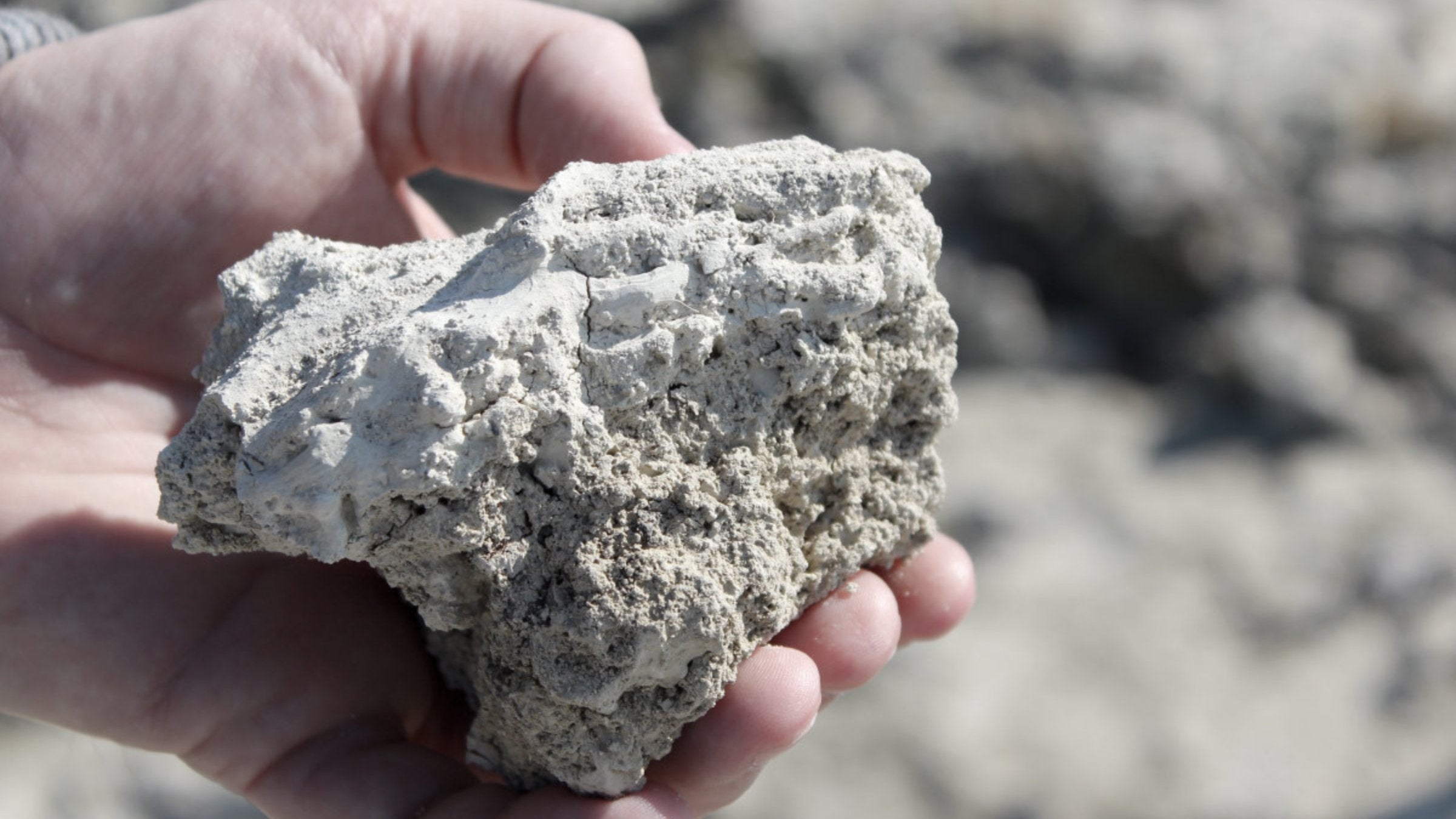 Hand holding a chunk of chalky white albariza soil in a sherry vineyard near Jerez, photo Lustau