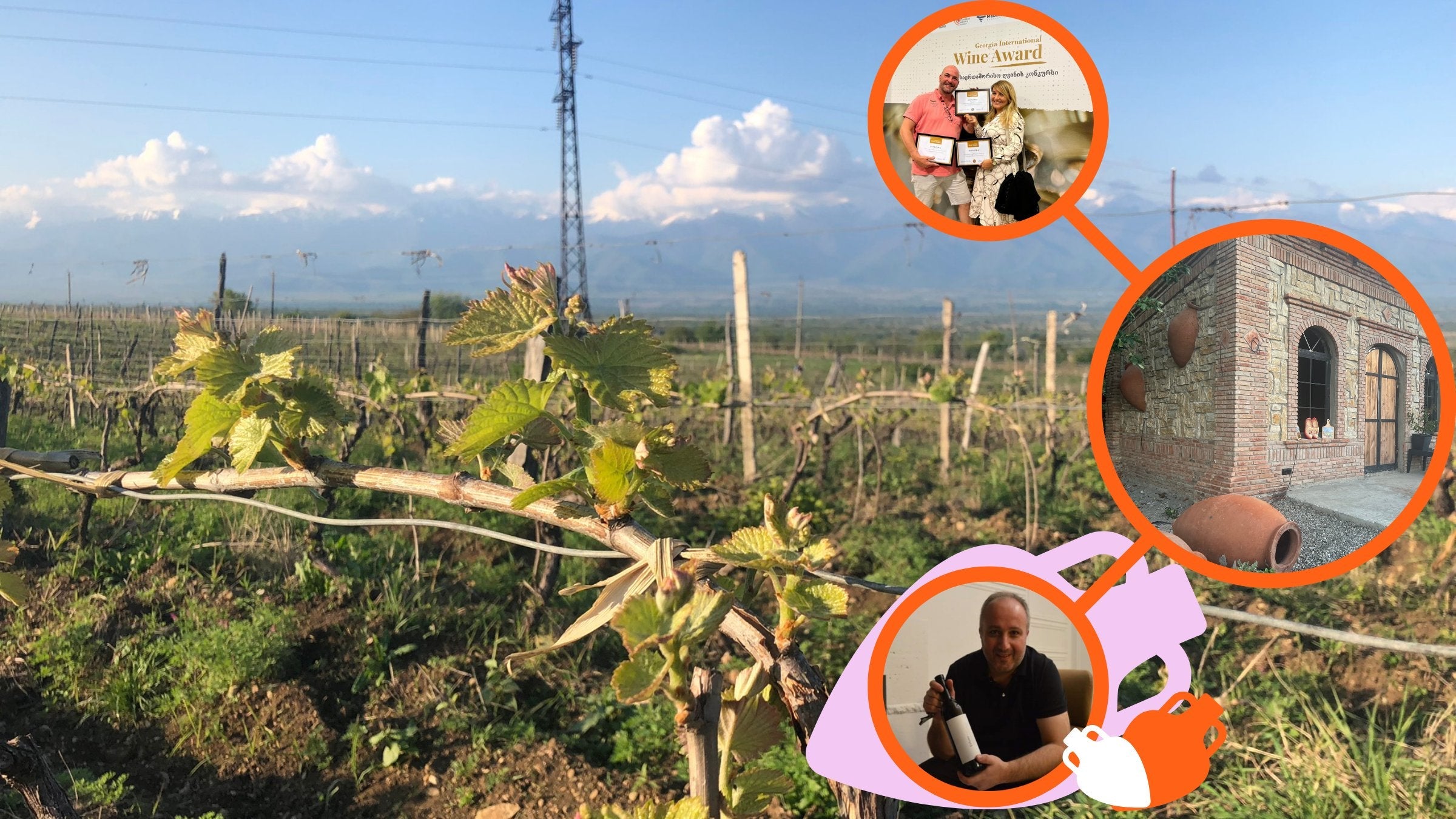 Collage of Georgian winemaking: a spring vineyard in Kakheti under the Caucasus, Yvo and Sophia of Sopho's Family Winery with their Georgia International Wine Award diplomas, their brick qvevri cellar, and Lado Robakidze of Ethno Wines holding a bottle
