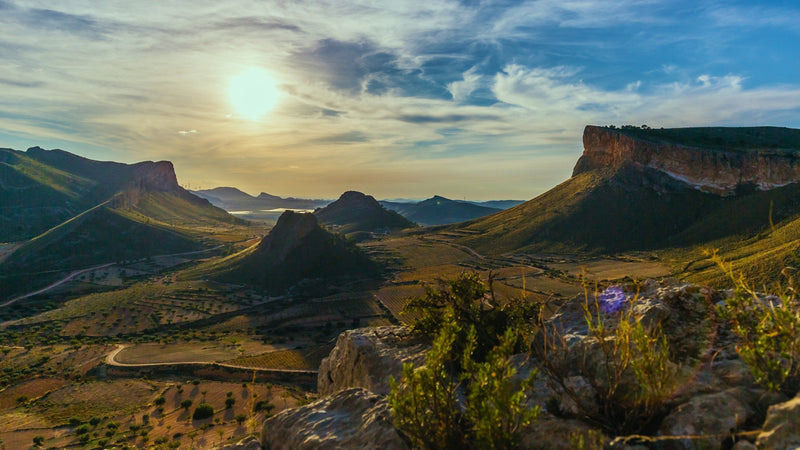 Rugged mountain ridges and valley vineyards of Jumilla at dusk, photo CRDOP Jumilla, Juan Palao