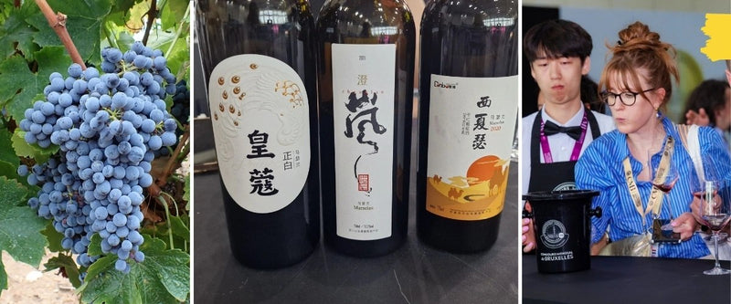 Why Marselan Might Be China’s Most Promising Red Grape