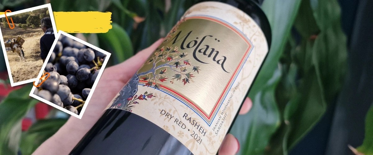 Molana - The Most Dangerous Wine in the World