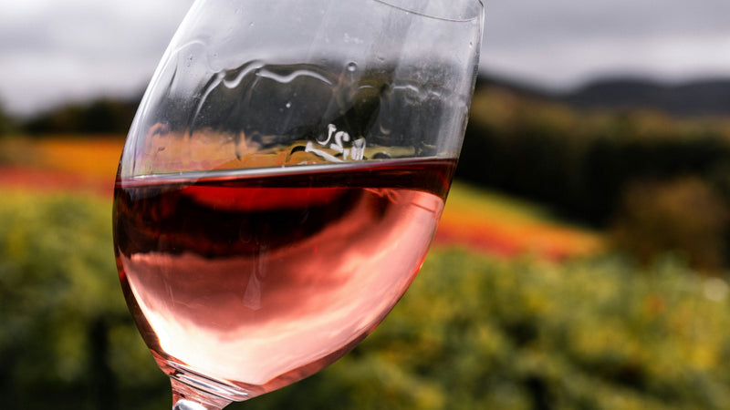 Glass of rosé wine held up against an autumn vineyard, photo Tobias Rademacher on Unsplash