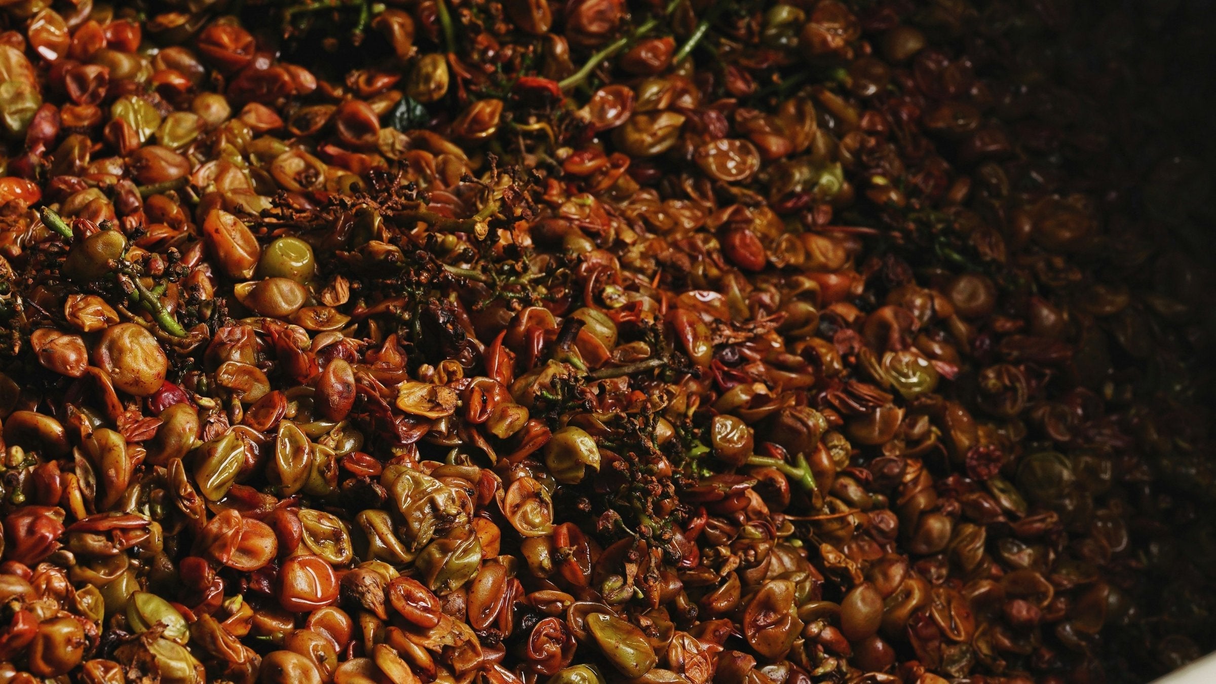 Close up of freshly pressed red grape skins and stems left in the press after rosé winemaking
