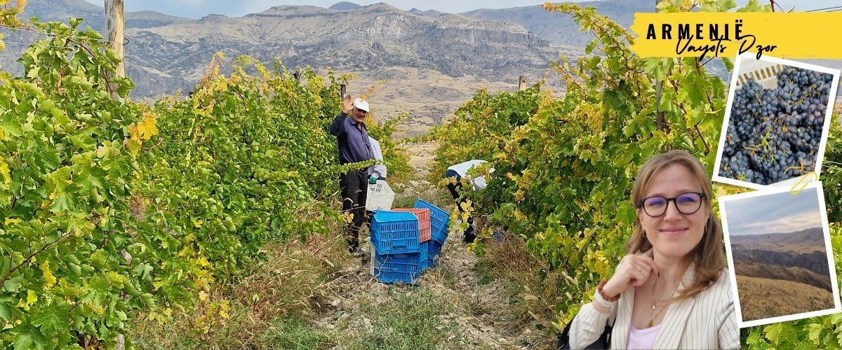 Verloren in de tijd: Mijn avontuurlijke wijnreis door Vayots Dzor.